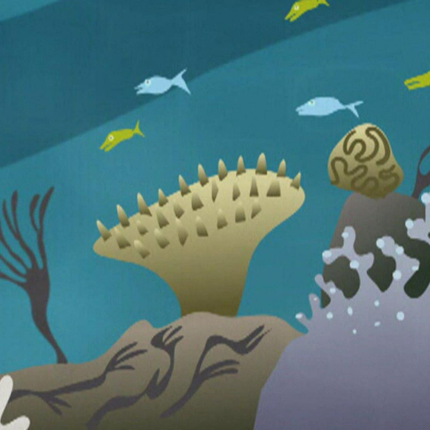 Das Element Wasser: Wo kommt es vor? | Film für Unterricht in der Grundschule