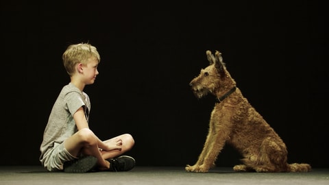 Hund und Mensch